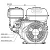 ENGINE - PETROL HONDA 6.5HP C/W OIL ALERT 3/4 HS - GP200