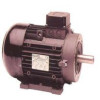 ELECTRIC MOTOR - LOW REV. 240V, "S" SHAFT, 3HP - MS.243